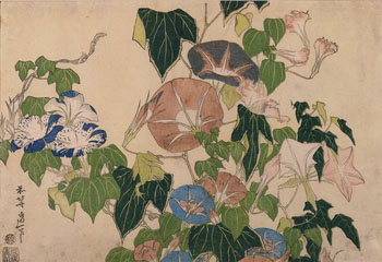 Katsushika Hokusai - Convolvulus and Tree Frog