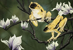 Ursula Vernon - Alternate Frogs II: Frogfinches